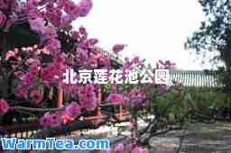 北京莲花池公园