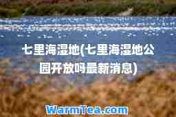 七里海湿地(七里海湿地公园开放吗消息)