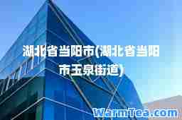 湖北省当阳市(湖北省当阳市玉泉街道)