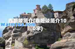 泰姬陵简介(泰姬陵简介100字)