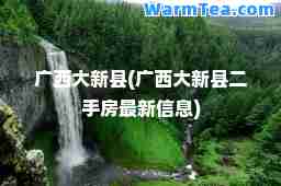 广西大新县(广西大新县二手房信息)