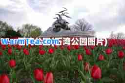 石湾公园(石湾公园图片)