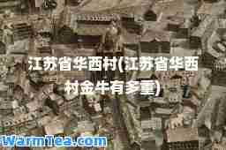 江苏省华西村(江苏省华西村金牛有多重)