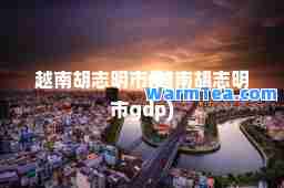越南胡志明市(越南胡志明市gdp)
