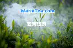 安吉旅游