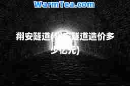 翔安隧道(翔安隧道造价多少亿元)