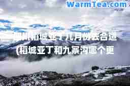 四川稻城亚丁几月份去适(稻城亚丁和九寨沟哪个更值得去)