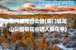 厦门狐尾山公园(厦门狐尾山公园樱花谷进入樱花季)