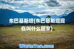 东巴基斯坦(东巴基斯坦现在叫什么国家)