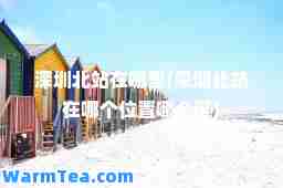 深圳北站在哪里(深圳北站在哪个位置哪个区)