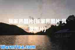 张家界图片(张家界图片 风景图片)