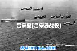 吕宋岛(吕宋岛战役)