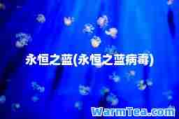永恒之蓝(永恒之蓝病毒)