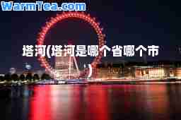 塔河(塔河是哪个省哪个市)