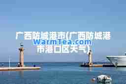 广西防城港市(广西防城港市港口区天气)