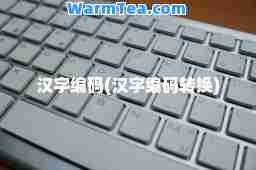 汉字编码(汉字编码转换)