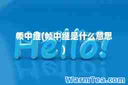 帧中继(帧中继是什么意思)