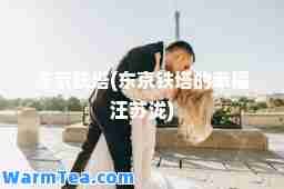 东京铁塔(东京铁塔的幸福汪苏泷)
