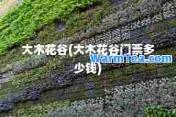 大木花谷(大木花谷门票多少钱)