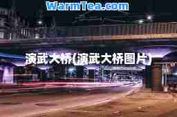演武大桥(演武大桥图片)