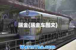 瑞金(瑞金车图文)
