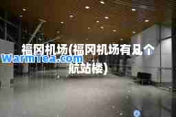 福冈机场(福冈机场有几个航站楼)
