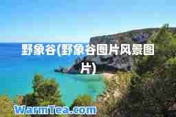 野象谷(野象谷图片风景图片)