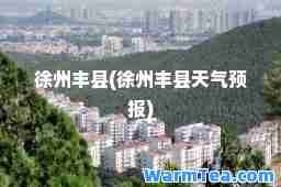 徐州丰县(徐州丰县天气预报)