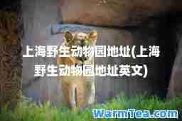 上海野生动物园地址(上海野生动物园地址英文)