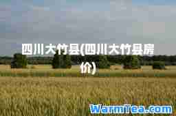 四川大竹县(四川大竹县房价)