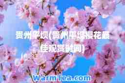 贵州平坝(贵州平坝樱花观赏时间)