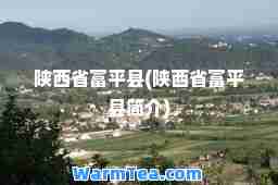 陕西省富平县(陕西省富平县简介)