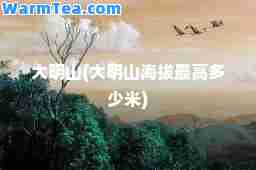 大明山(大明山海拔最高多少米)