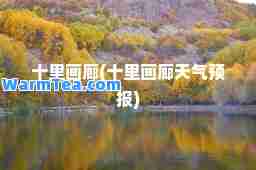 十里画廊(十里画廊天气预报)