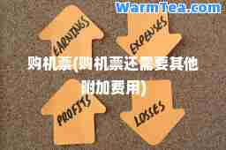 购机票(购机票还需要其他附加费用)