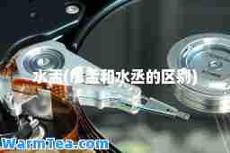 水盂(水盂和水丞的区别)