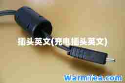 插头英文(充电插头英文)