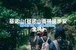 基诺山(基诺山雨林徒步安全吗)
