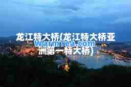 龙江特大桥(龙江特大桥亚洲特大桥)