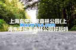 上海东平国家森林公园(上海东平国家森林公园好玩吗)
