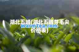 湖北五峰(湖北五峰芽毛尖价格表)