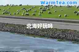 北海好玩吗
