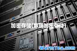 加密存储(数据加密存储)