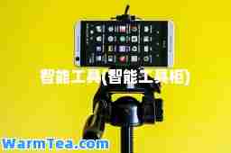 智能工具(智能工具柜)
