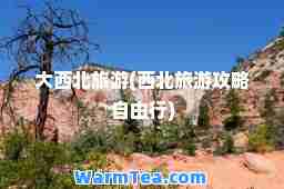 大西北旅游(西北旅游攻略自由行)