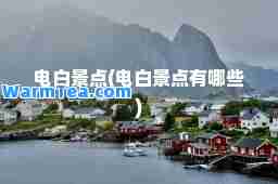 电白景点(电白景点有哪些)