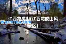 江西龙虎山(江西龙虎山风景区)