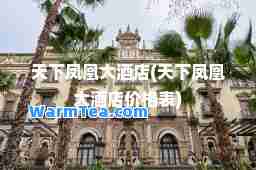 天下凤凰大酒店(天下凤凰大酒店价格表)