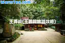 王莽岭(王莽岭旅游攻略)