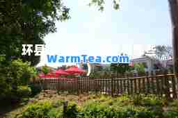 环县(环县职中专业有哪些)
